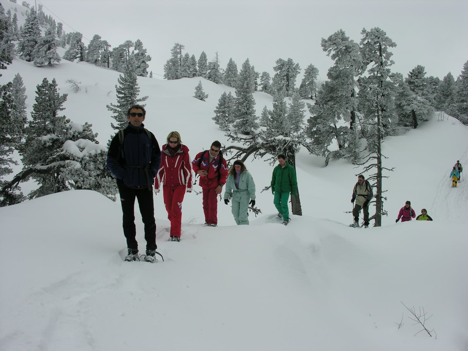 Sortie raquettes à neige à La Pierre Saint-Martin