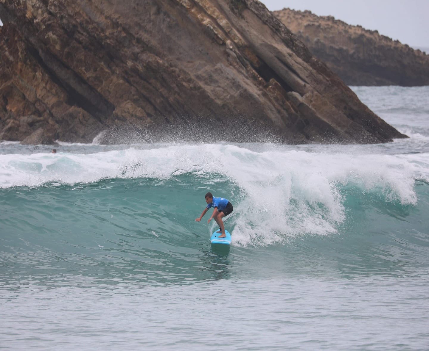 Surf Hastea