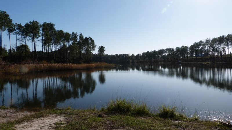 Surgenne (3)