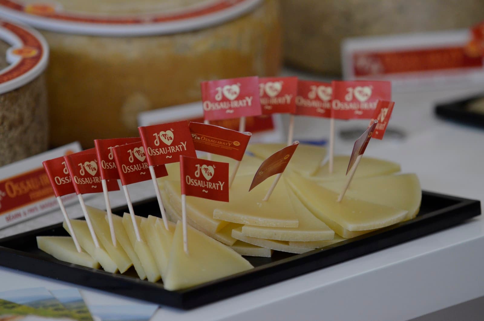 Syndicat AOP - Dégustation fromage