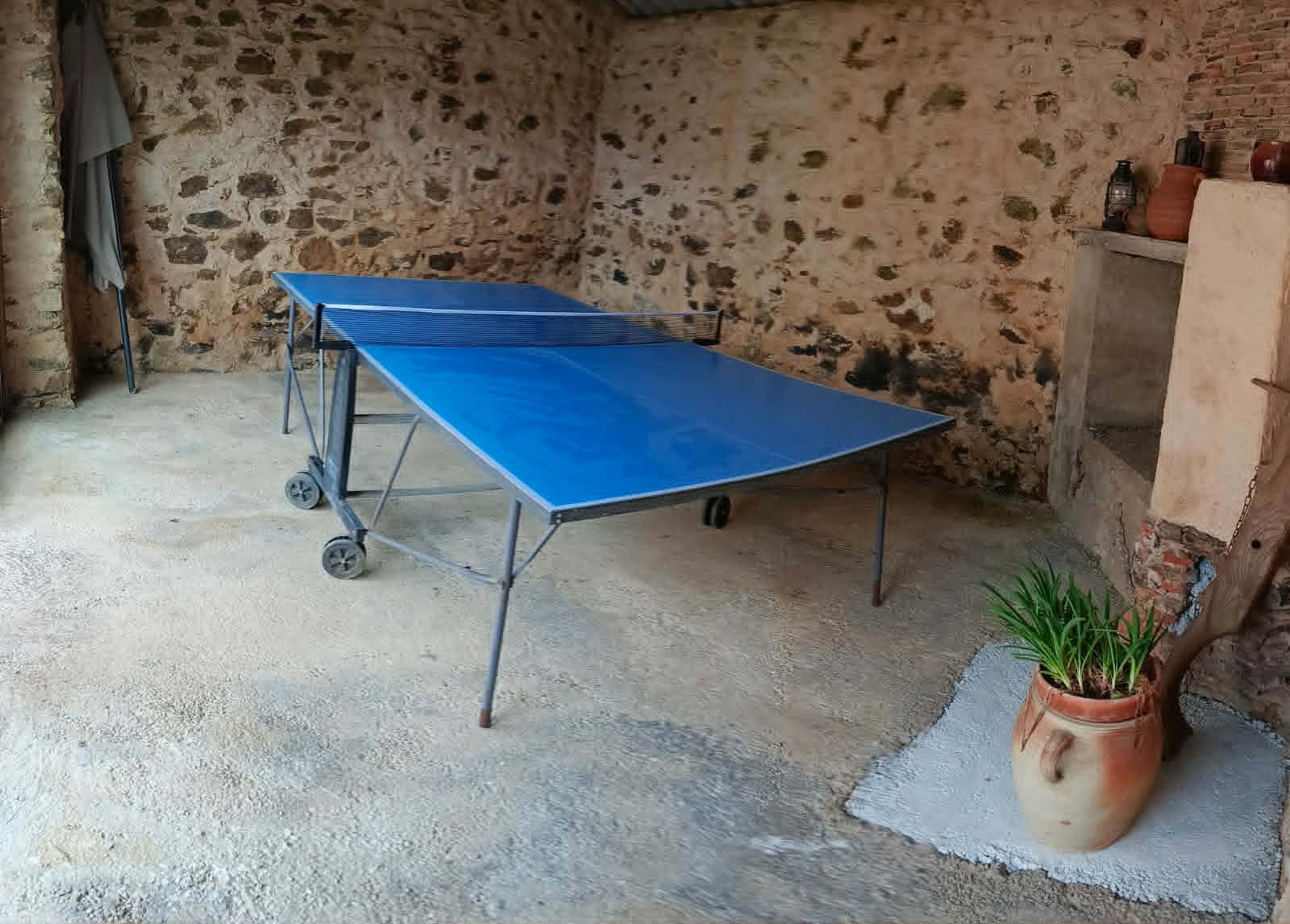 TABLE PING PONG