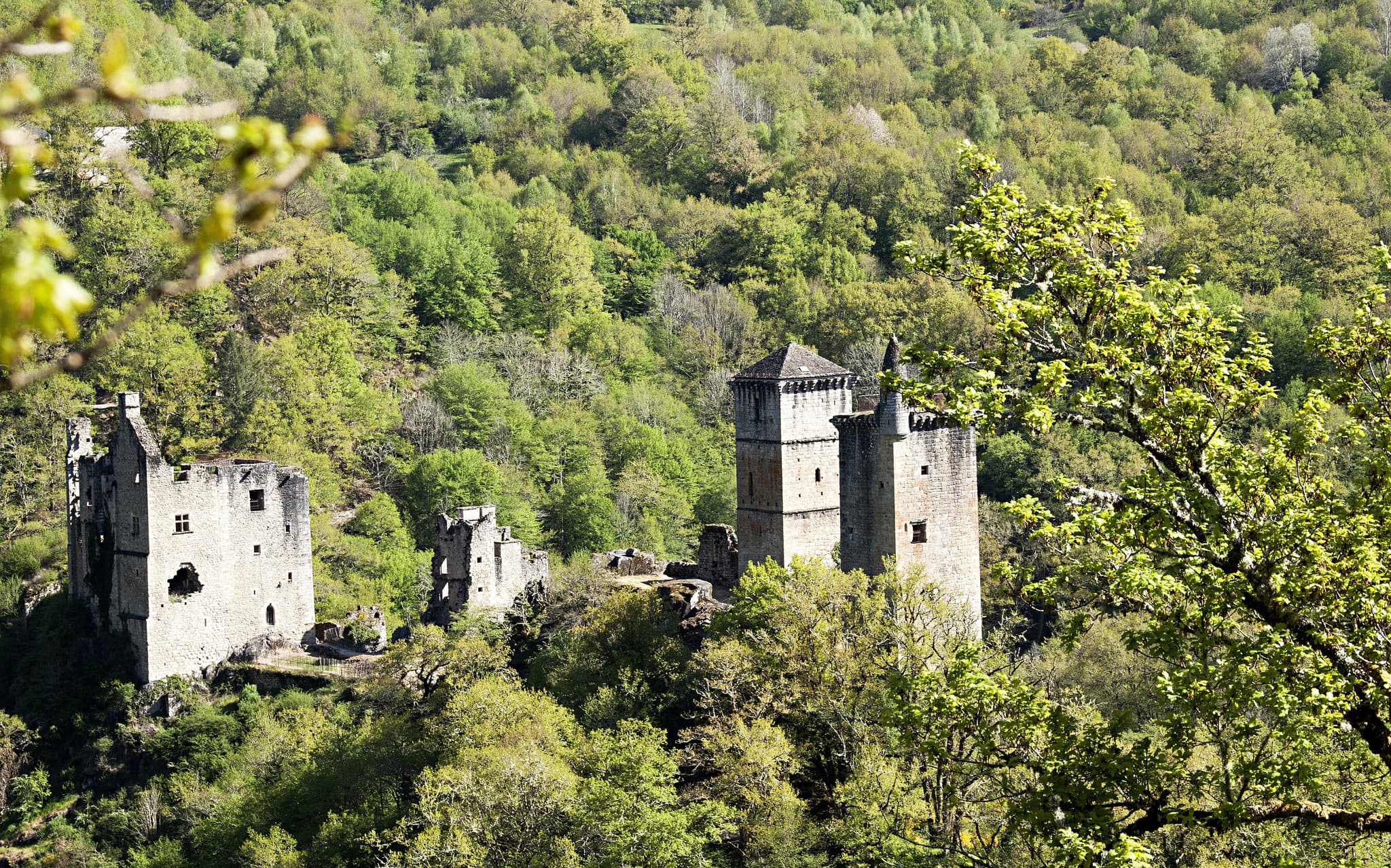 Les Tours de Merle_1
