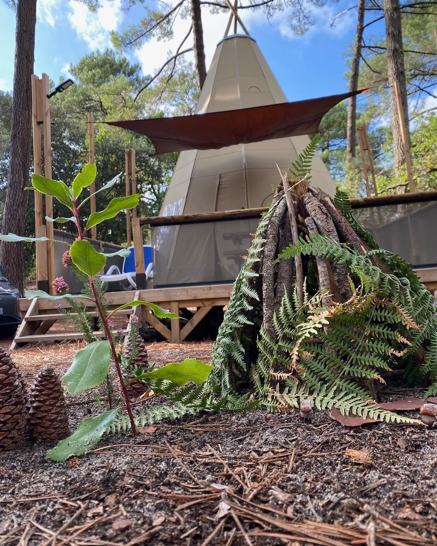 TIPI HOME