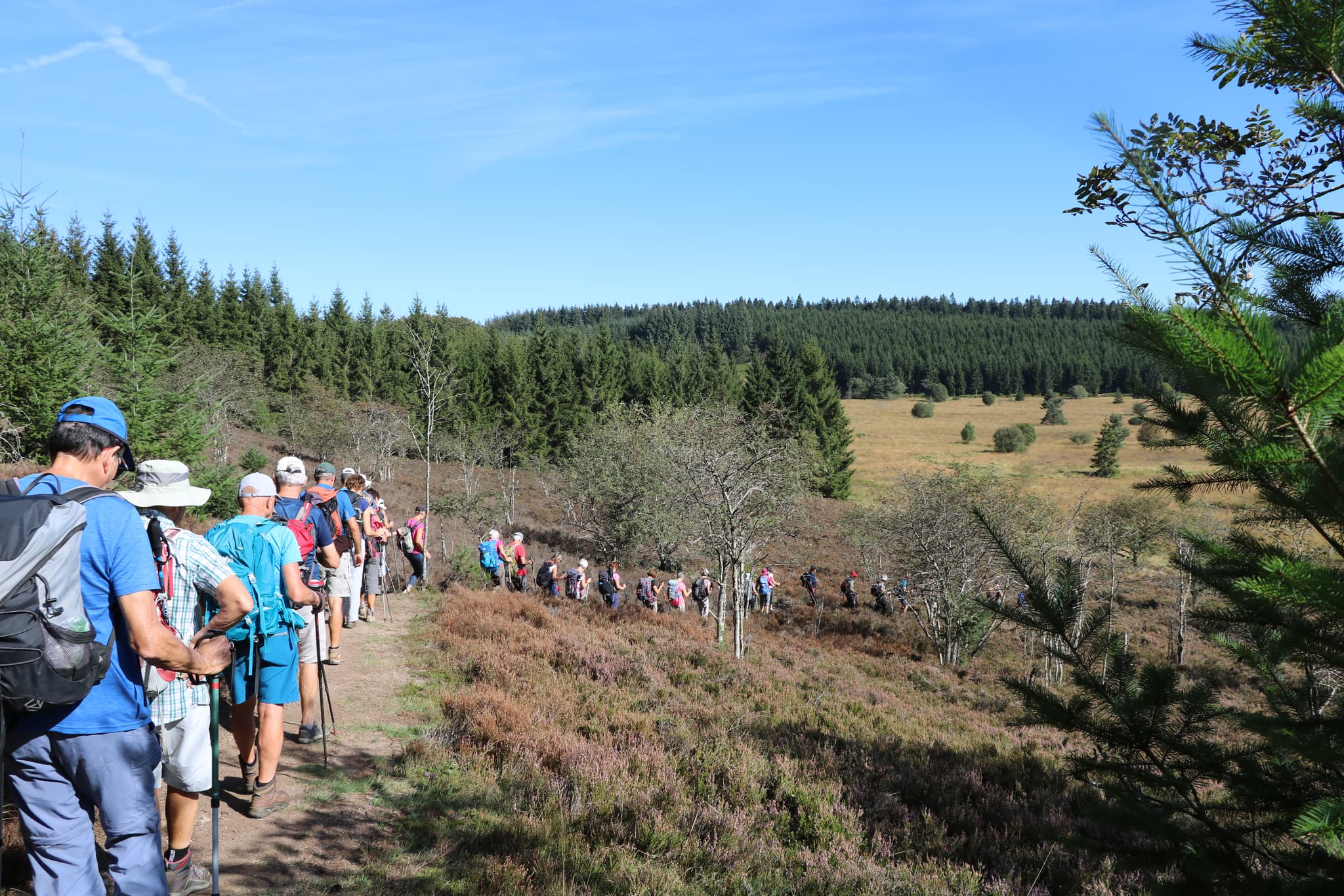 TOURBIERE_LONGEYROUX_VISITE GUIDEE
