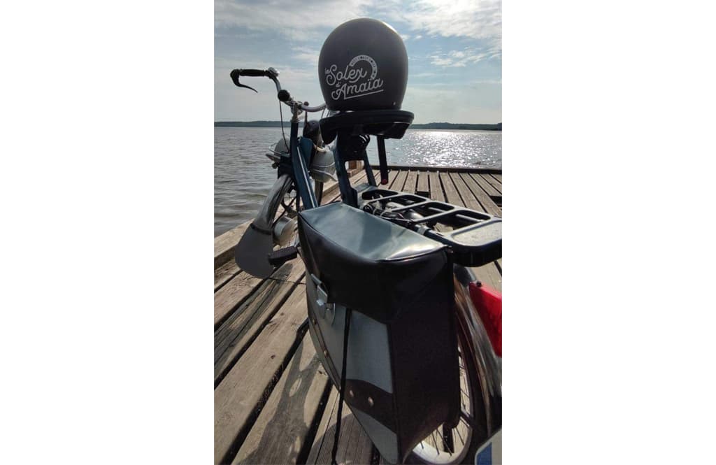 TS 2 solex