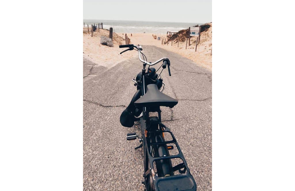 TS-3-solex