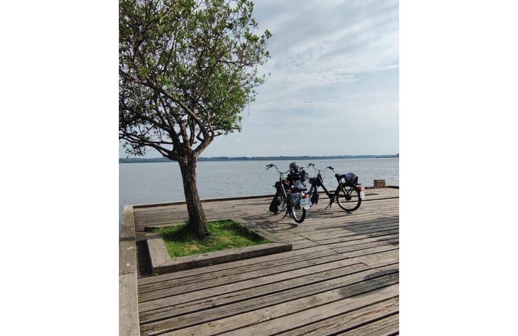 TS-5-solex