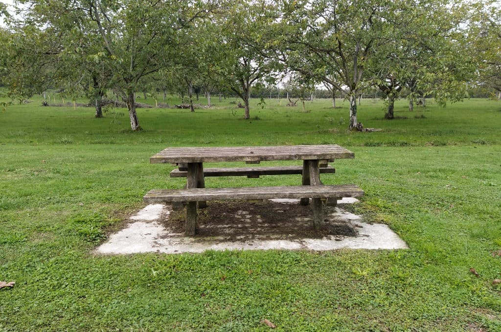 Table Rampieux
