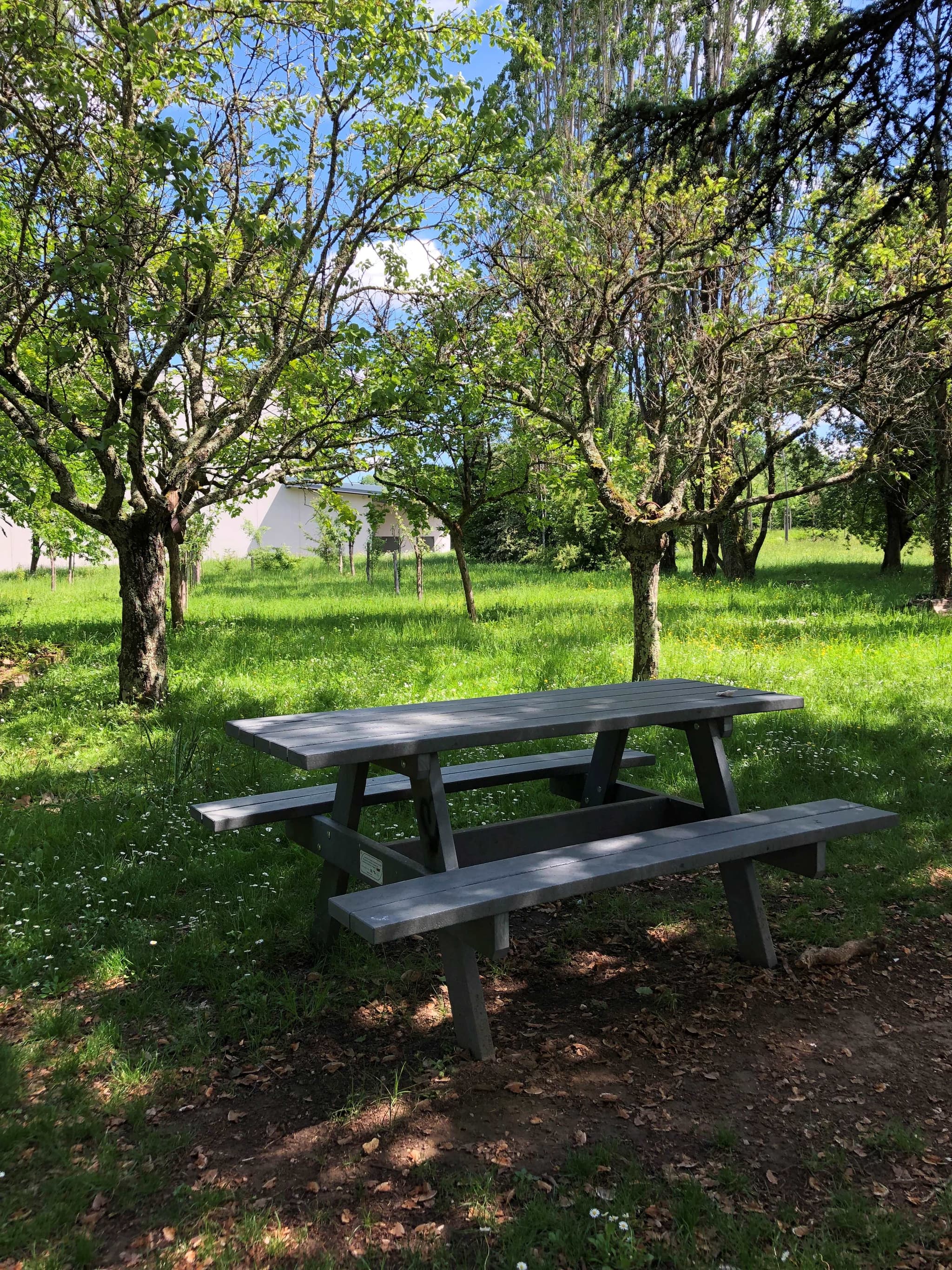 Table parc Marès