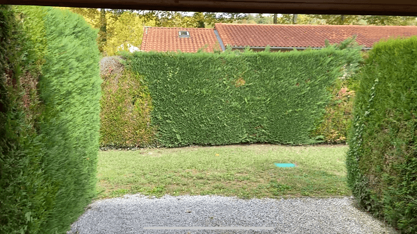 Les Albizias n°10 et n°11