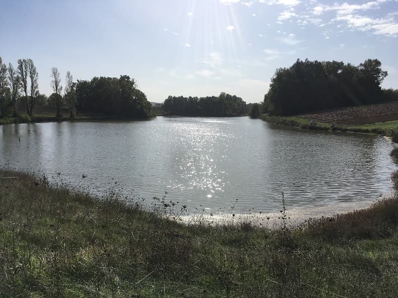 Terme-gros (2)