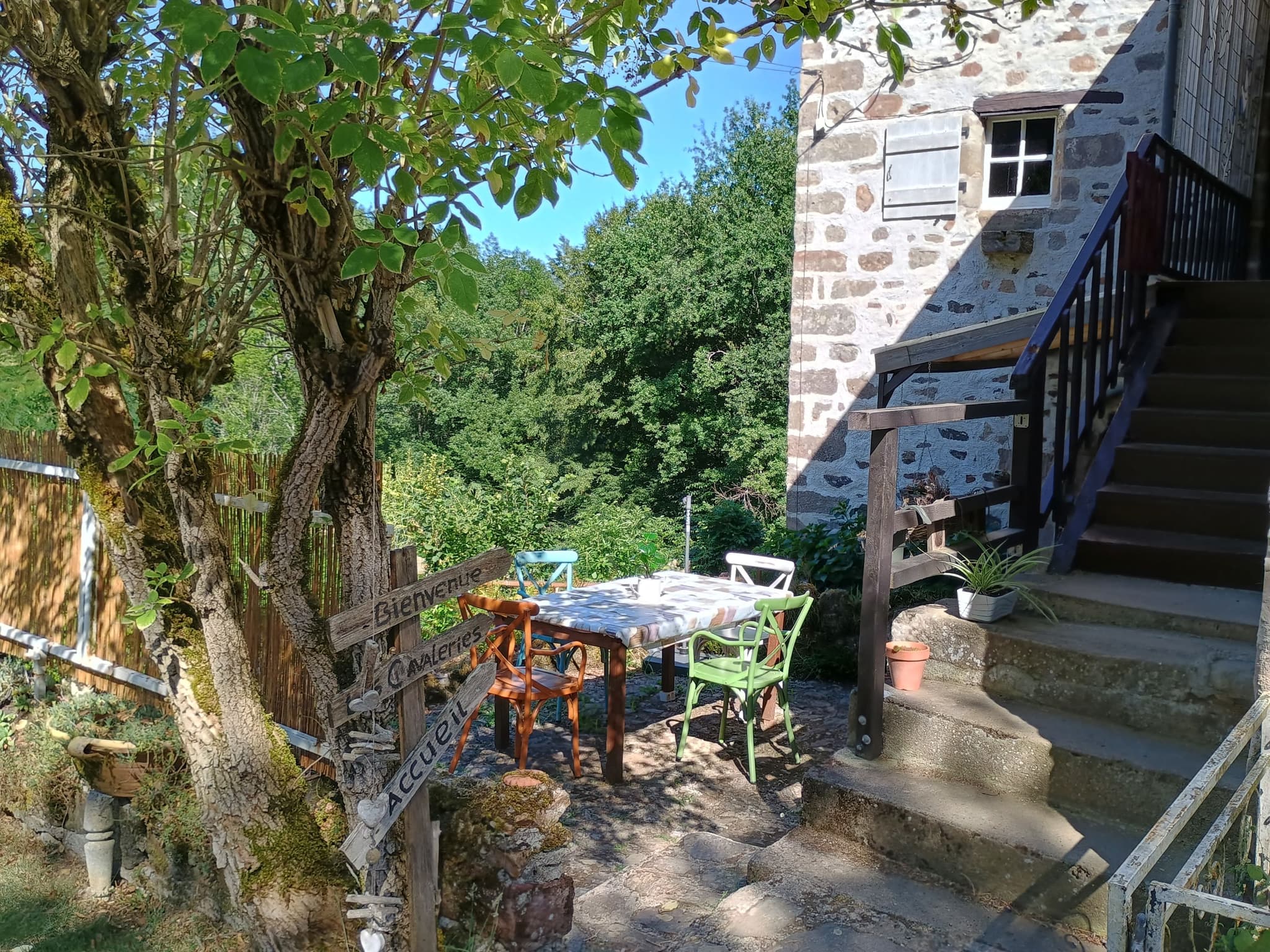 Terras_11