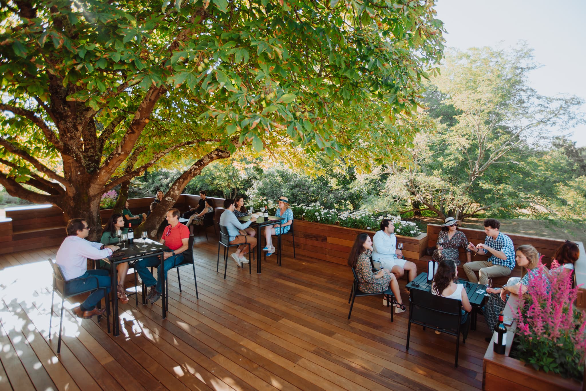 Terrasse 1