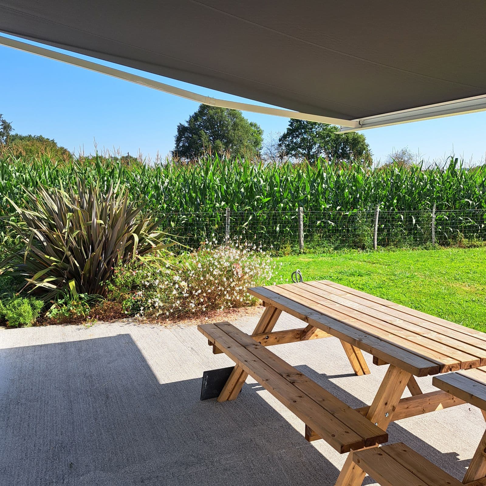 Terrasse