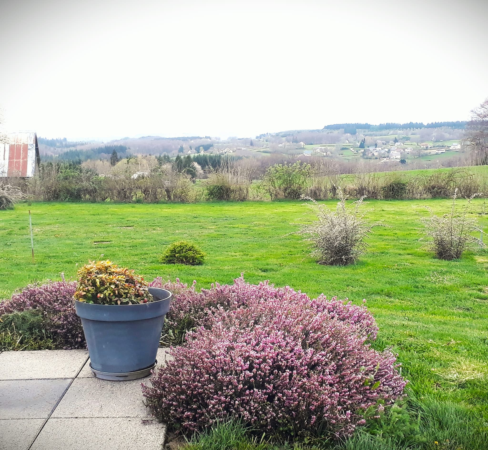 Terrasse et bruyeres