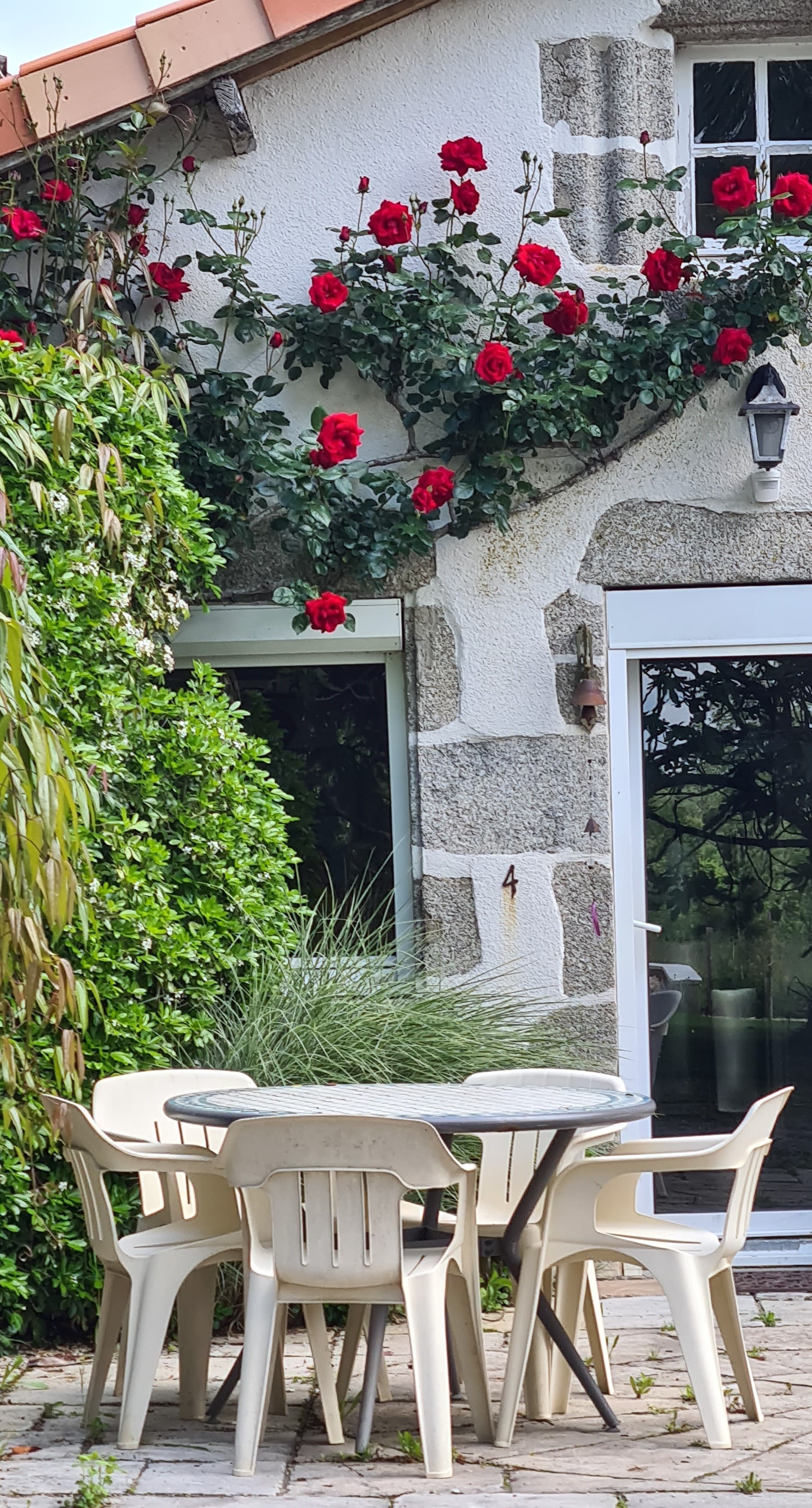 Terrasse face à cuisine