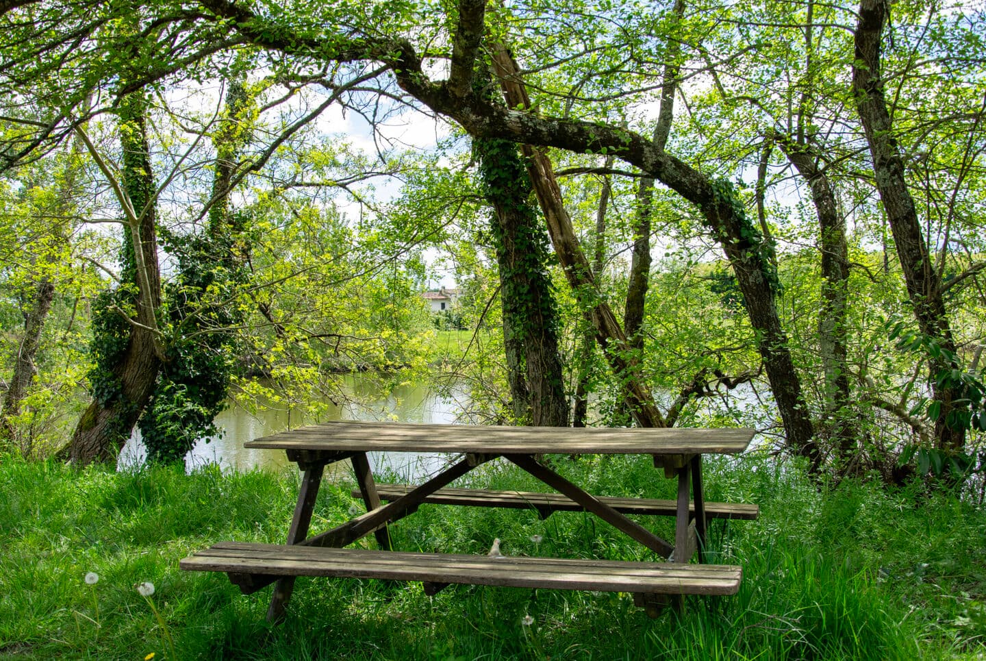 The Lake Beaumont