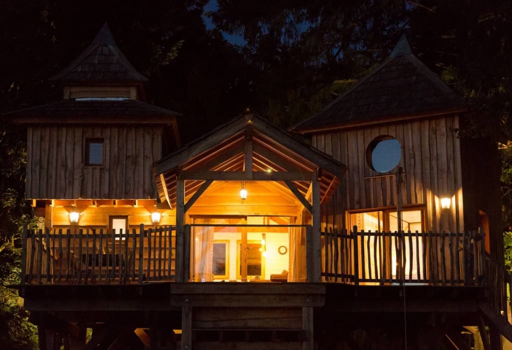 Tree house nuit