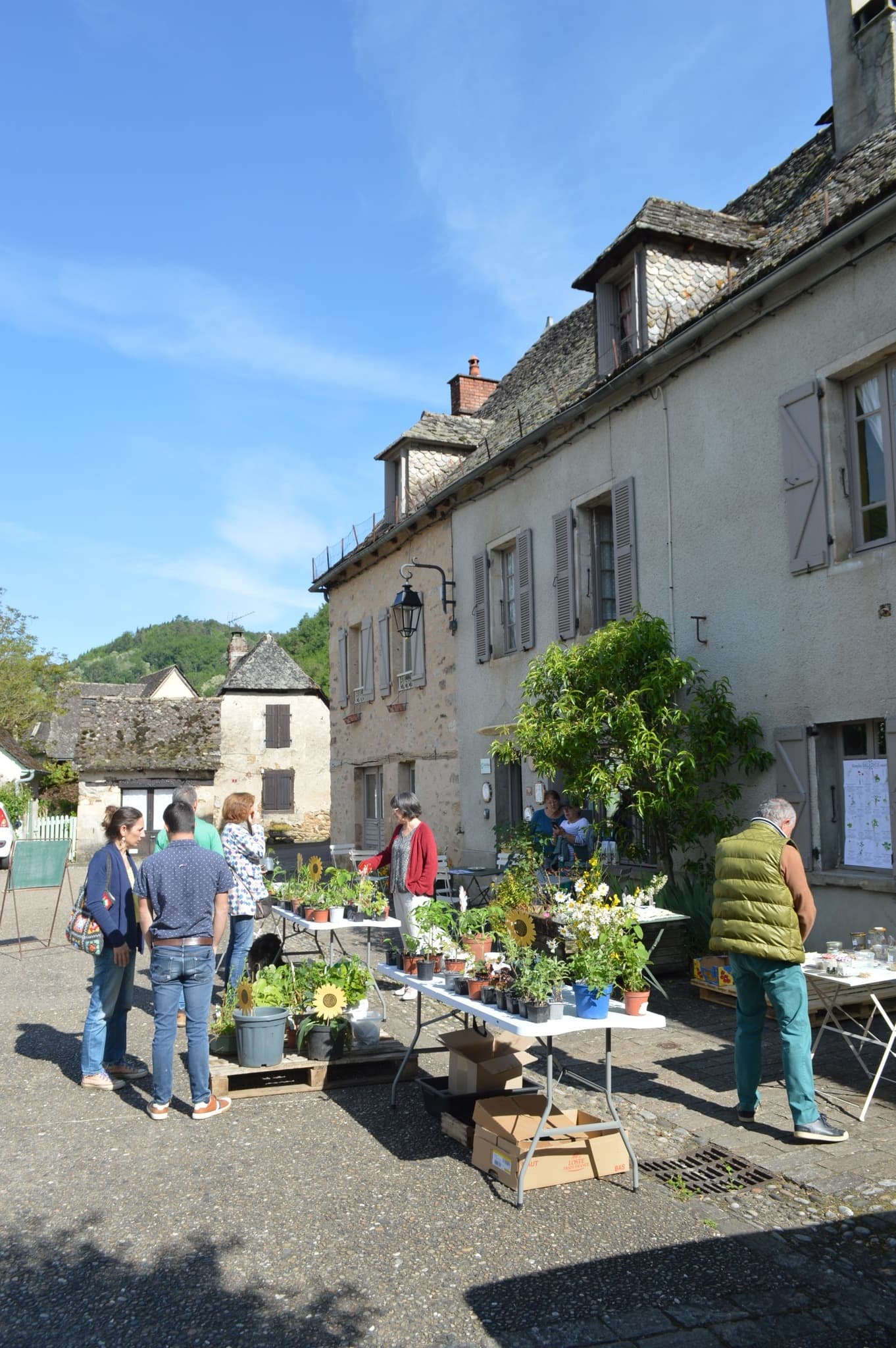 Troc de Plantes_5