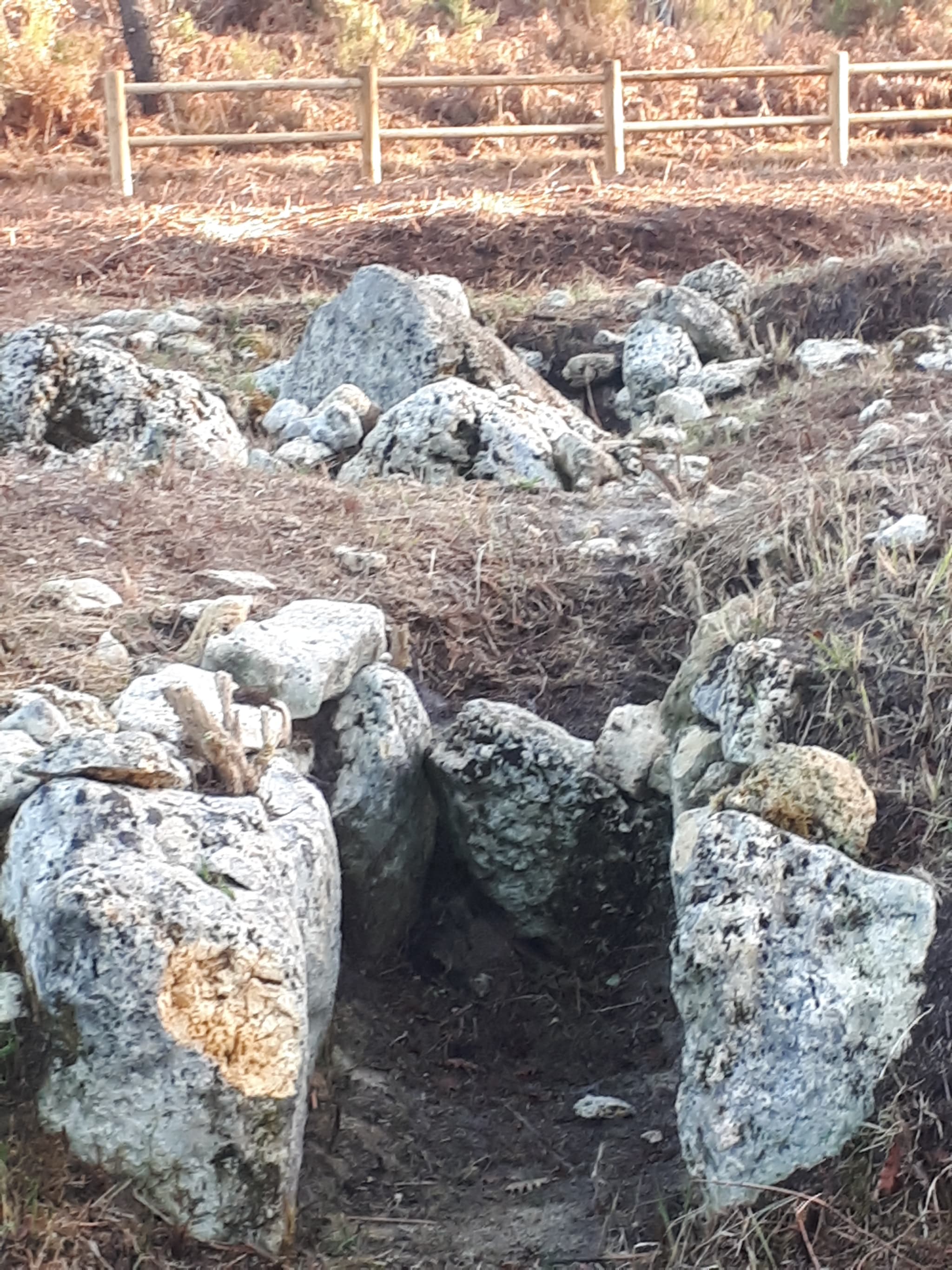 Tumulus-de-bernet