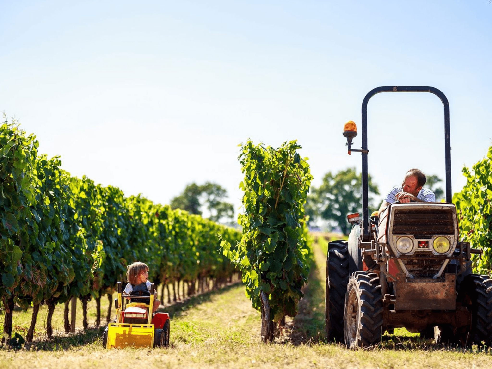 Les vignerons de Tutiac - 800X600