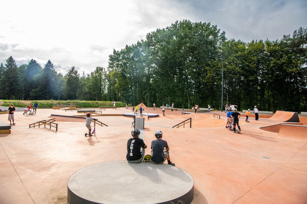 VDL_068313_BD