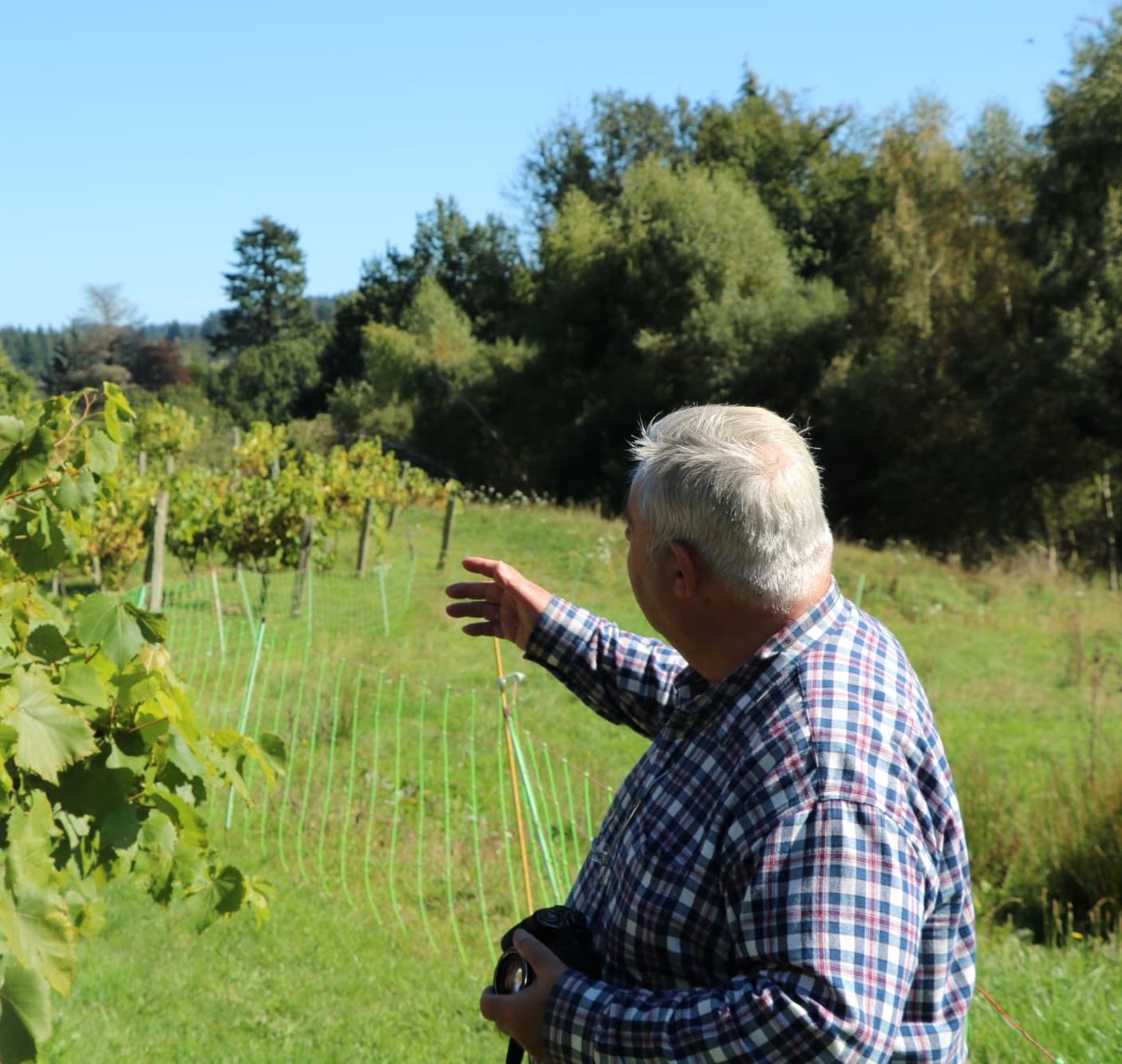 VIN_MEYMAC_PRES_BORDEAUX