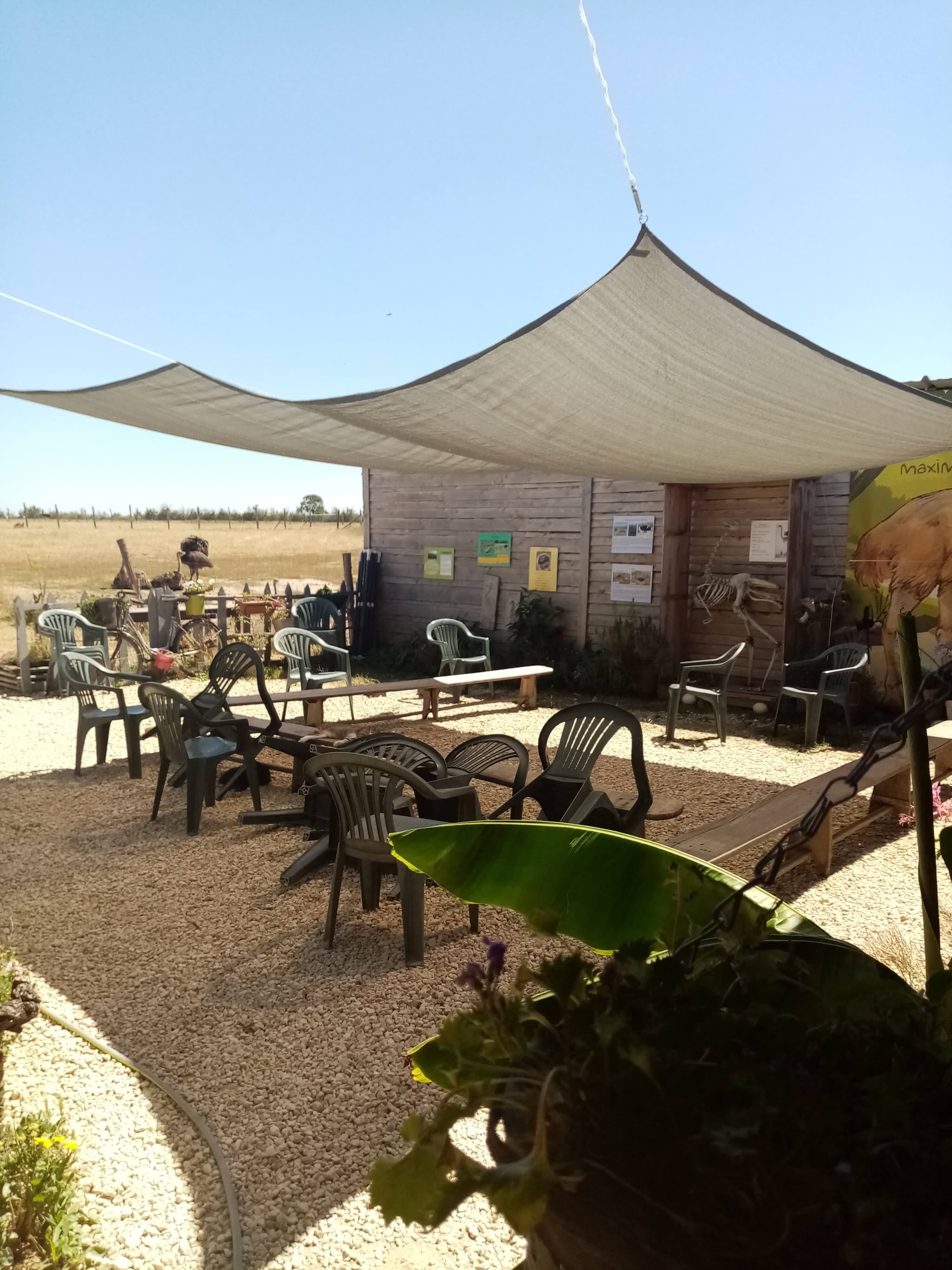 VISITE PATIO