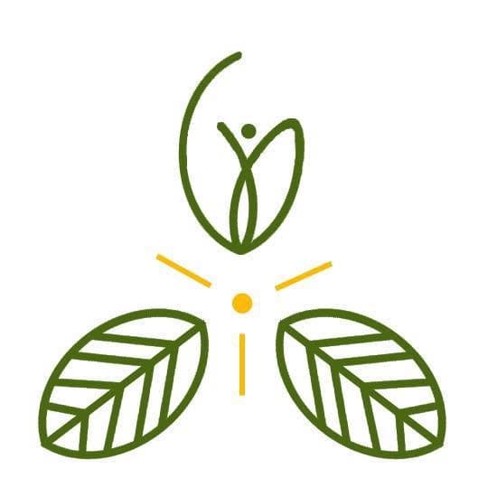 VITAMINE VERTE
