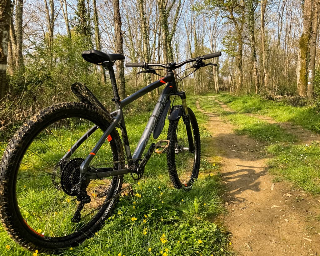 VTT