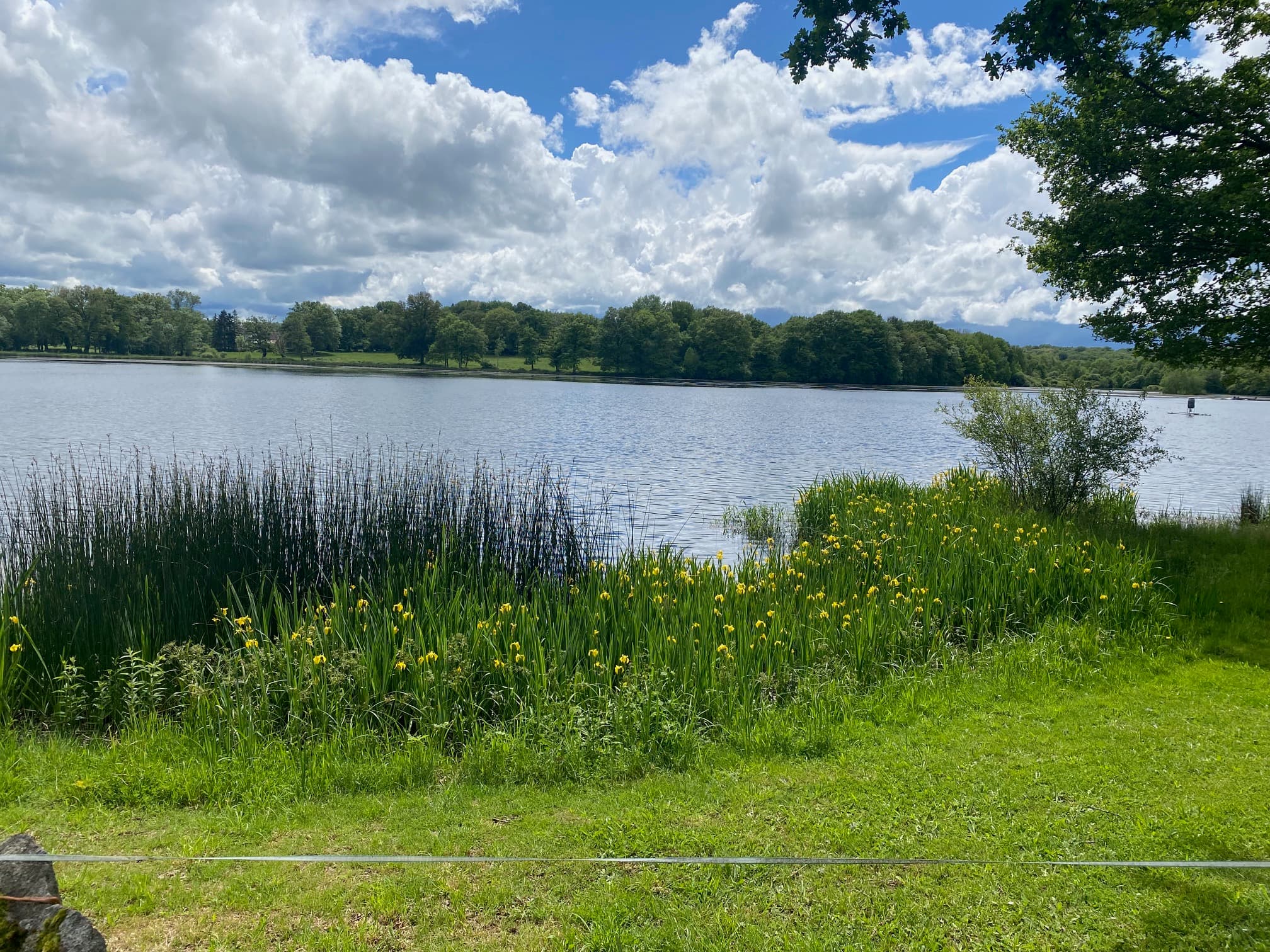 VUE SUR L'ETANG