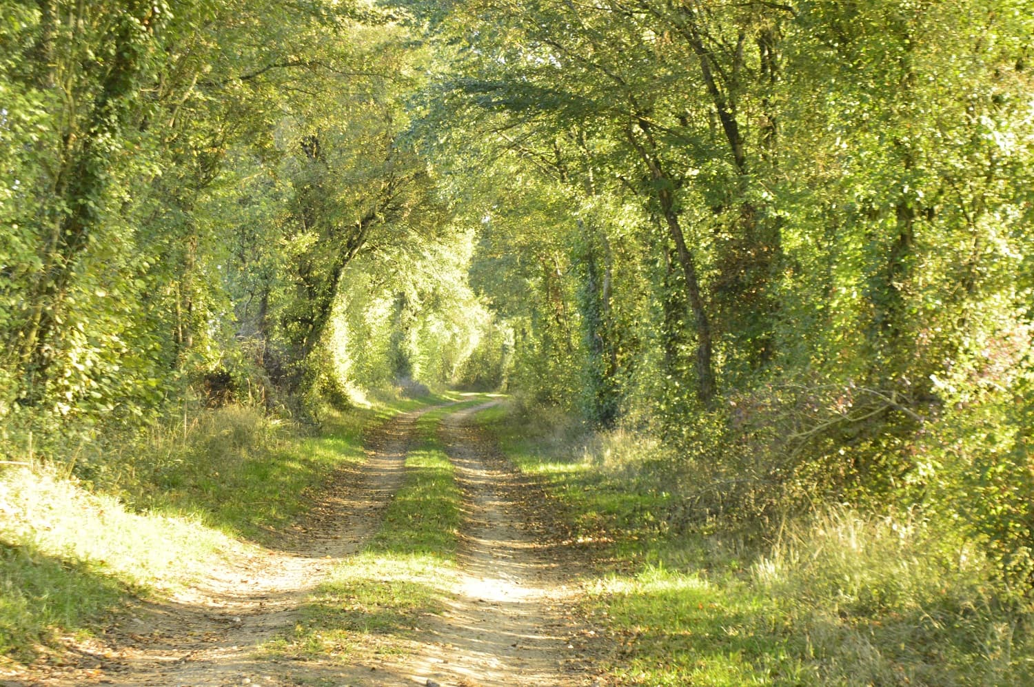 Vauthion - partie du parcours Terra Aventura