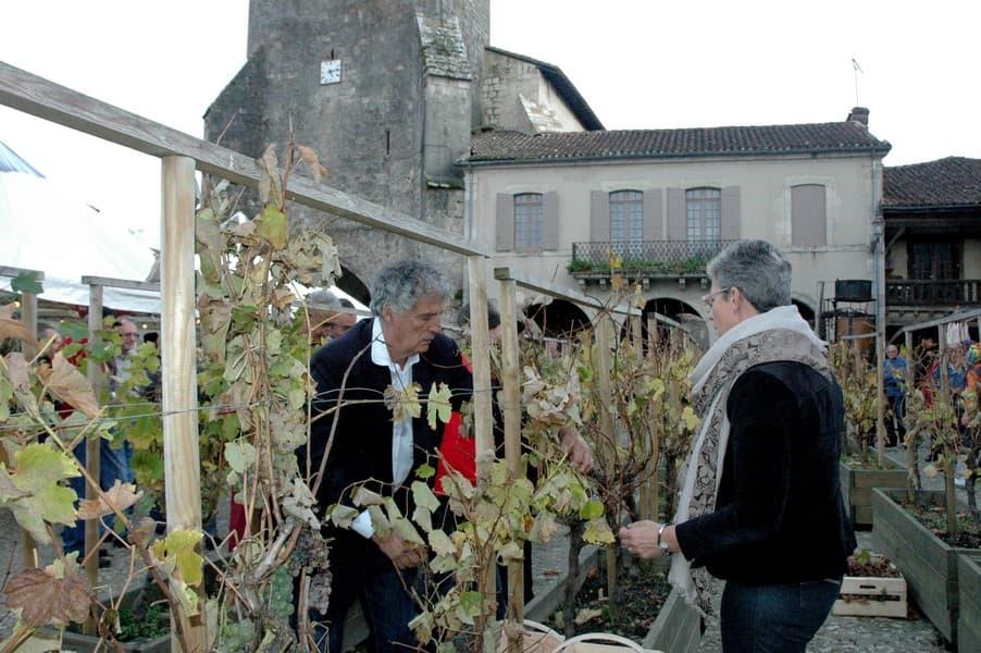 Vendanges Place Royale