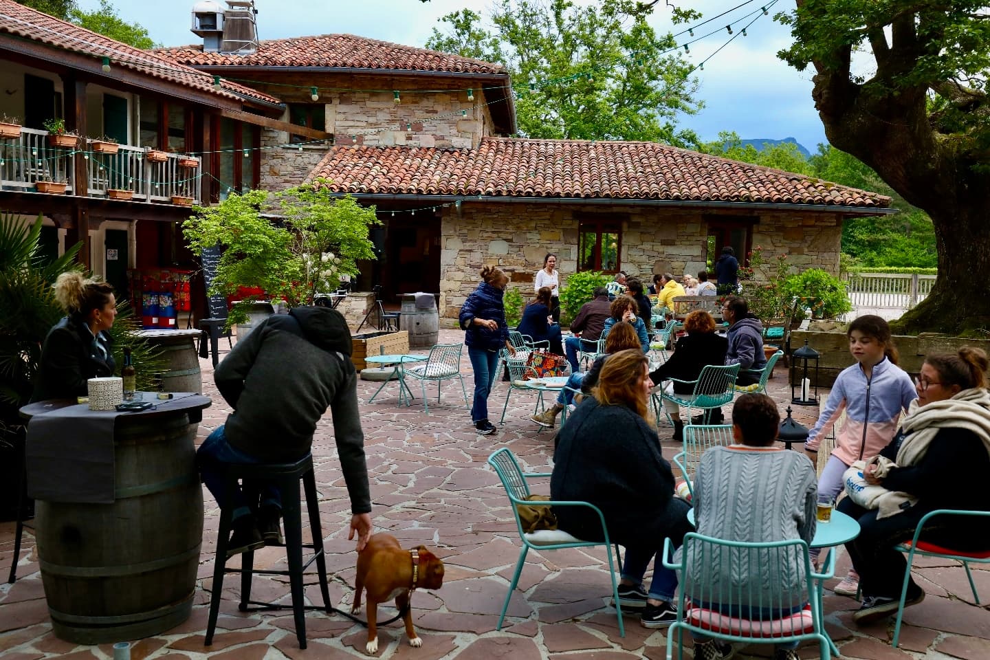 Venta_Mariano-terrasse