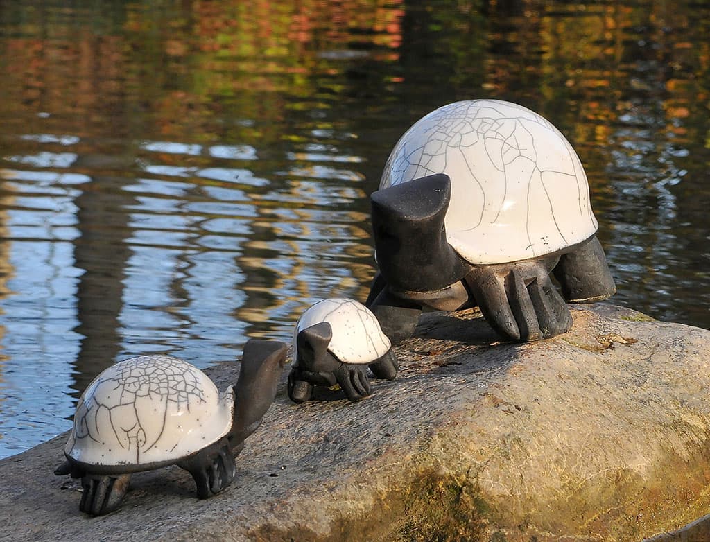 Tortues