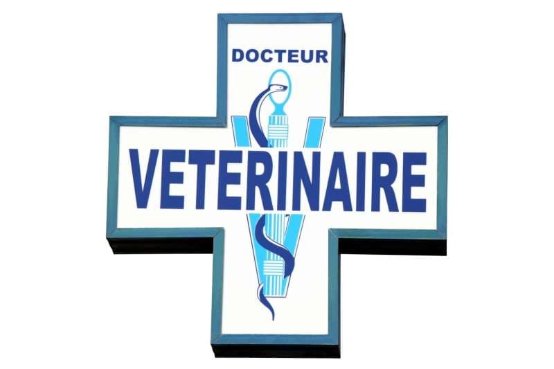 Vétérinaire