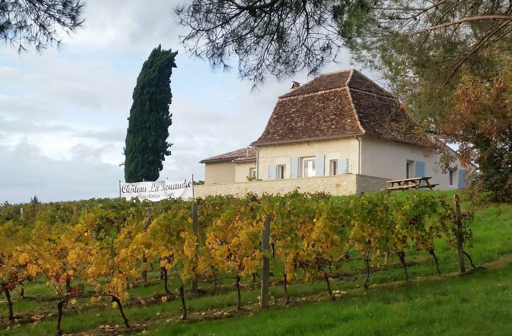 Vieille Périgourdine et vignes