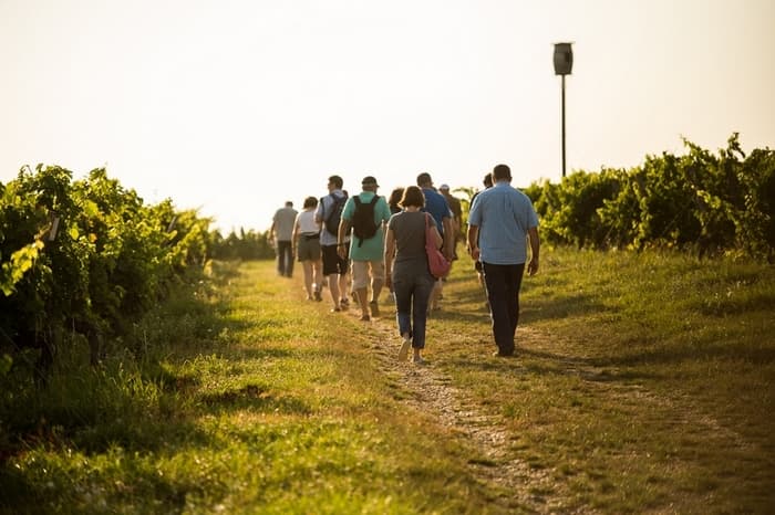 Vignerons de Buzet_Balade