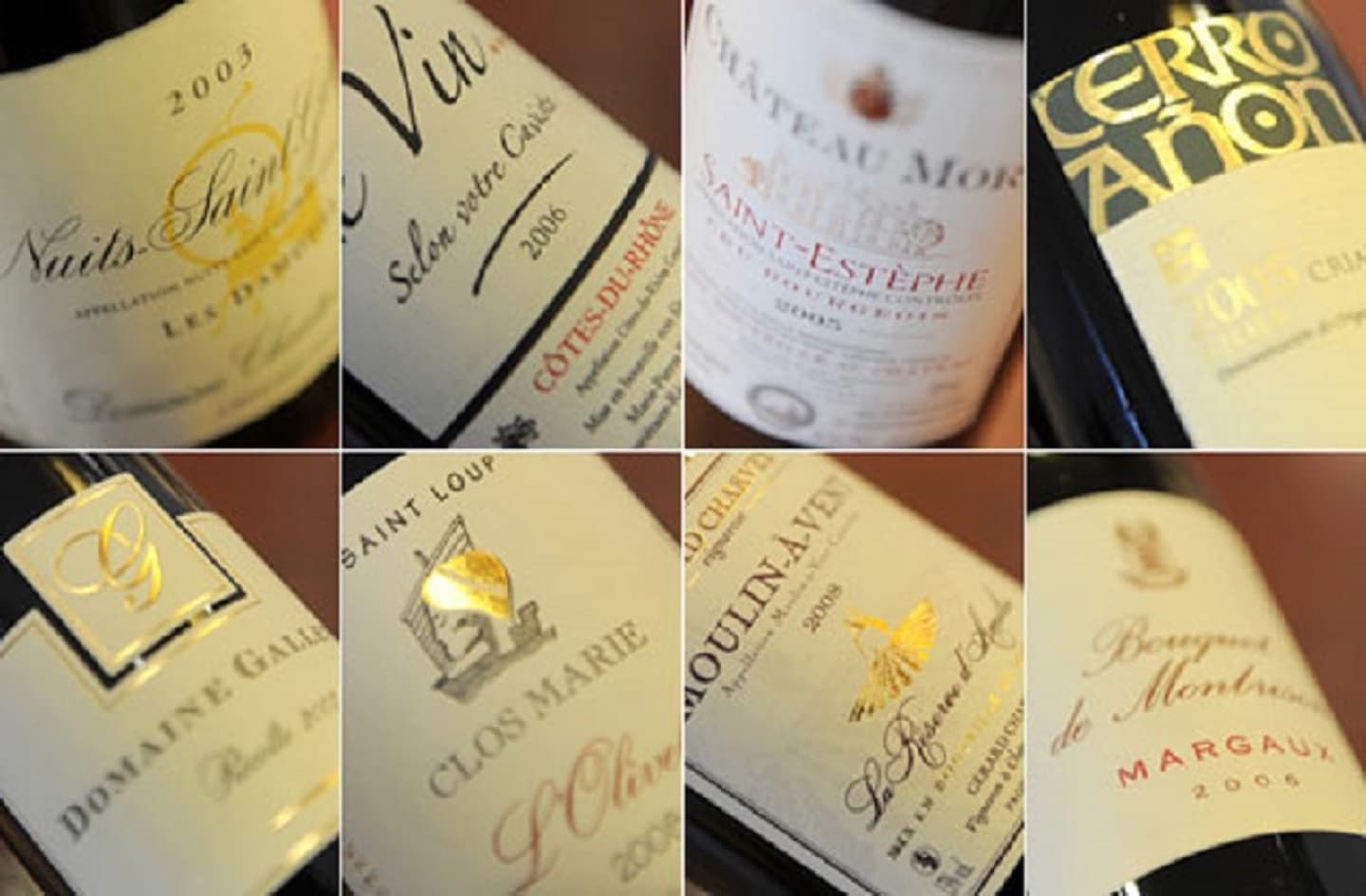 Vignoble&decouverte 4