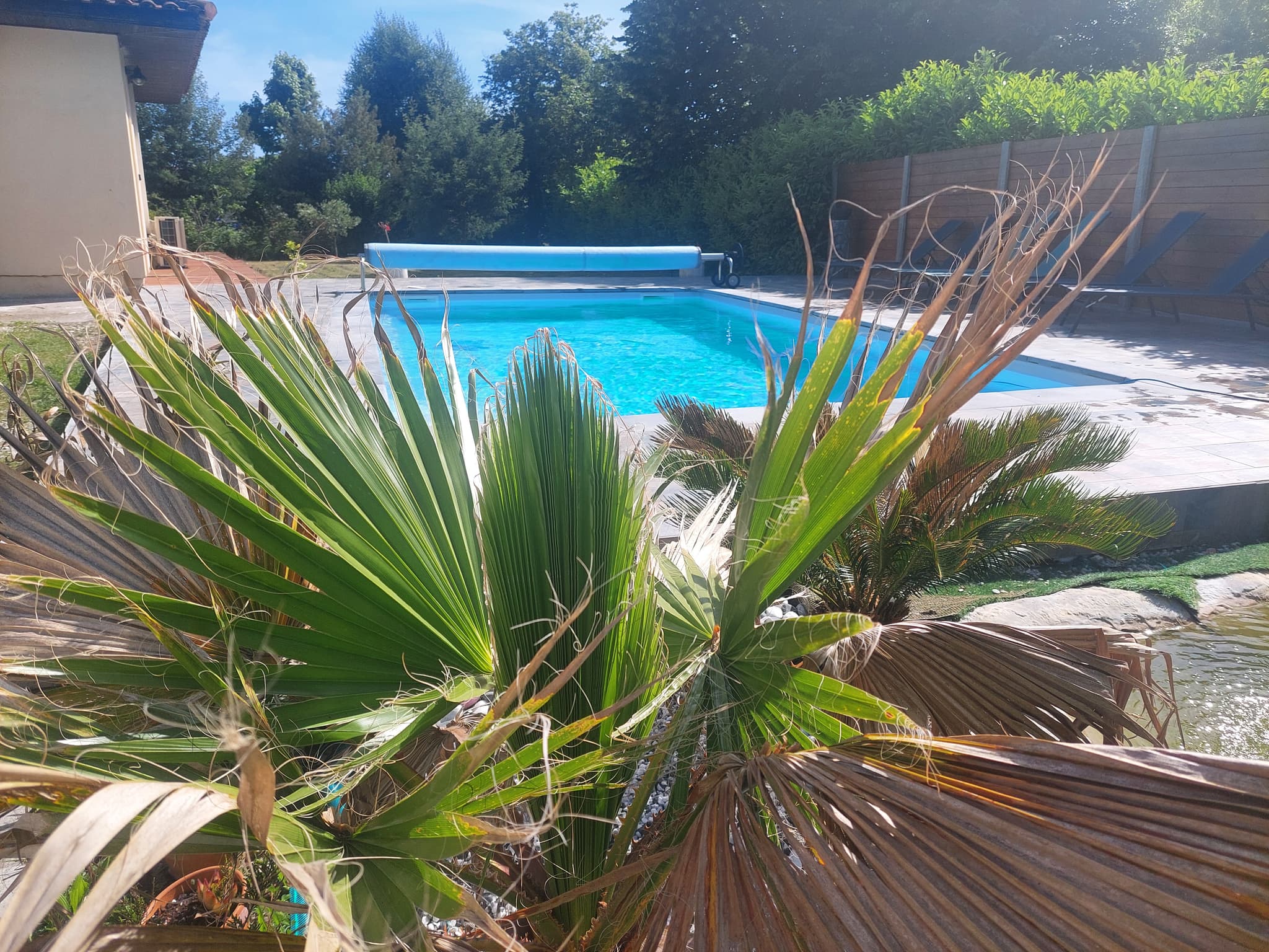 Villa Florianne piscine