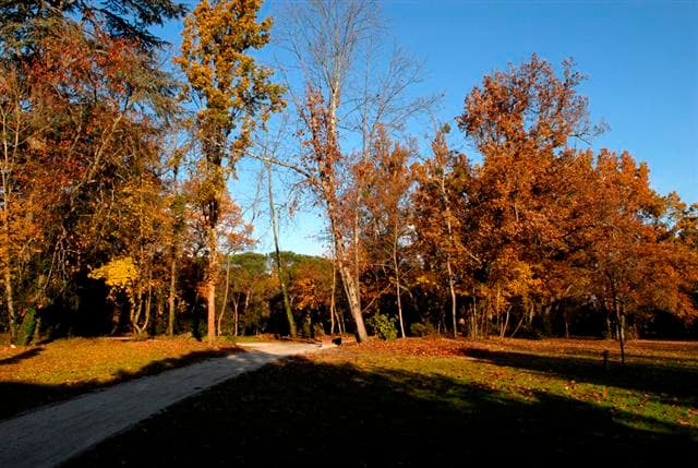 Villenave d'Ornon - Parc Sourreil