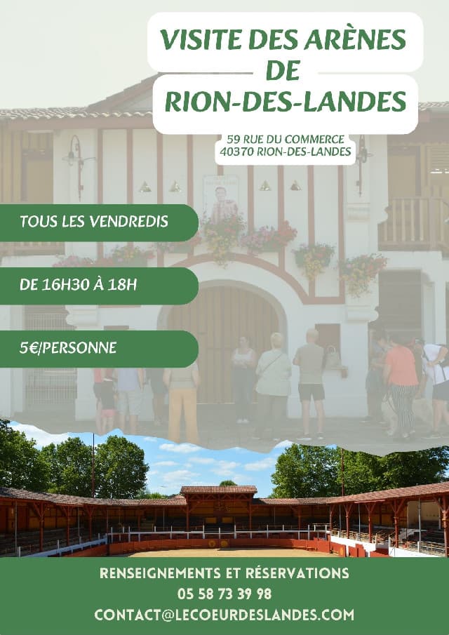 Visites, balades de l'OT - Visite_Arènes
