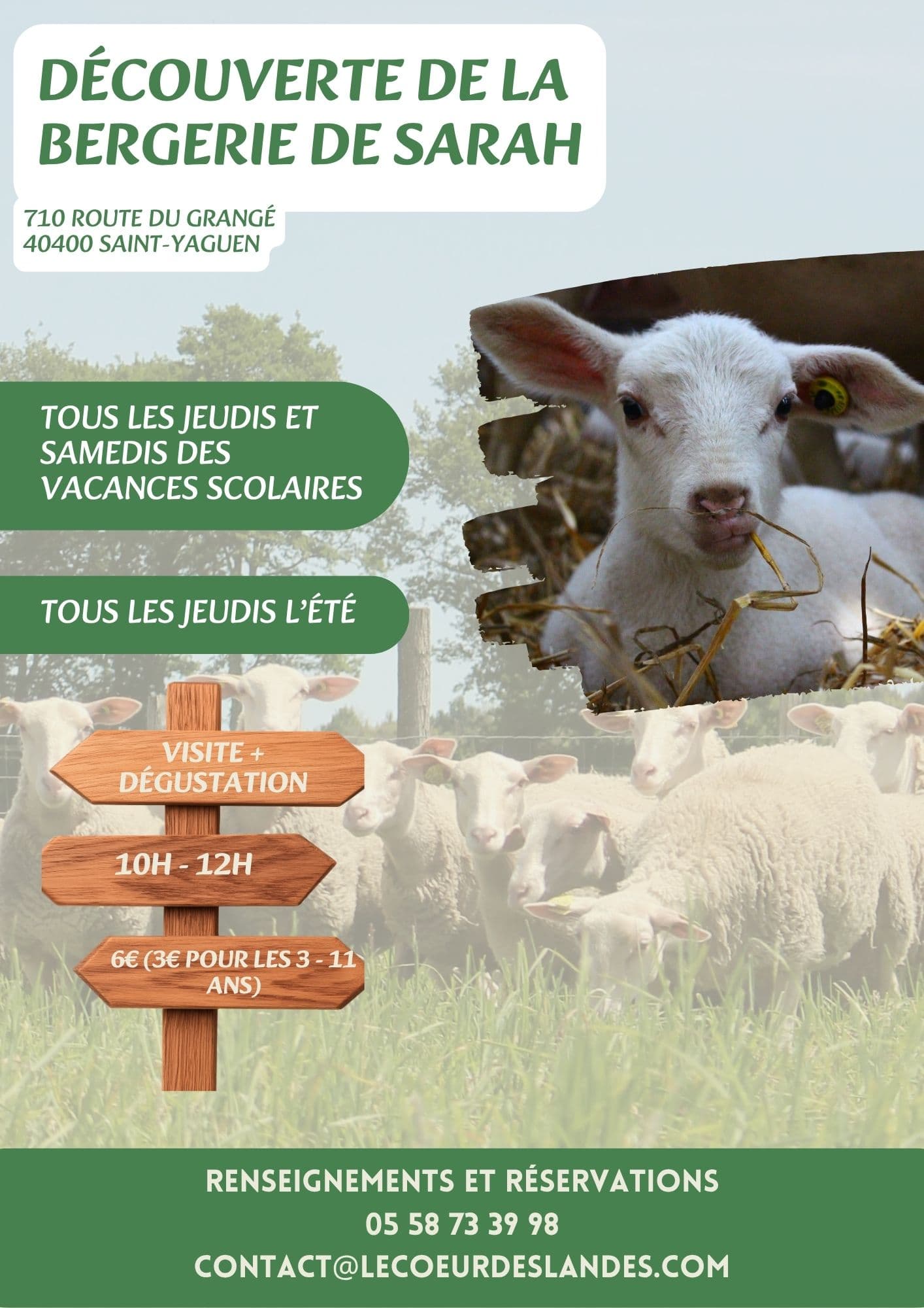 Visites, balades de l'OT - Visite_Bergerie