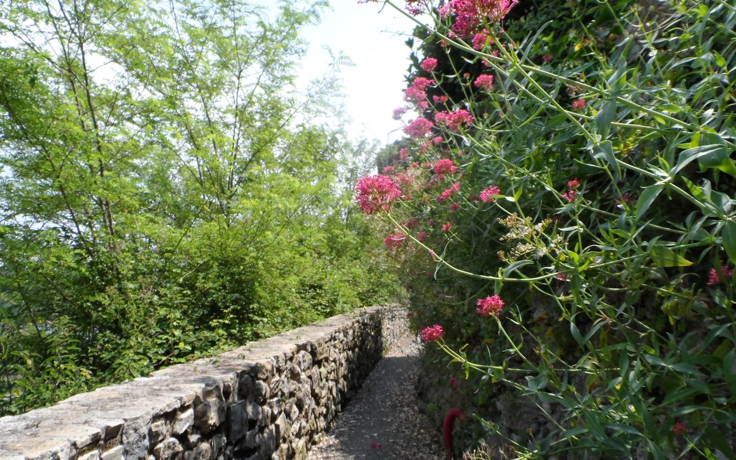 Visite de Guiche -  vue sur le château