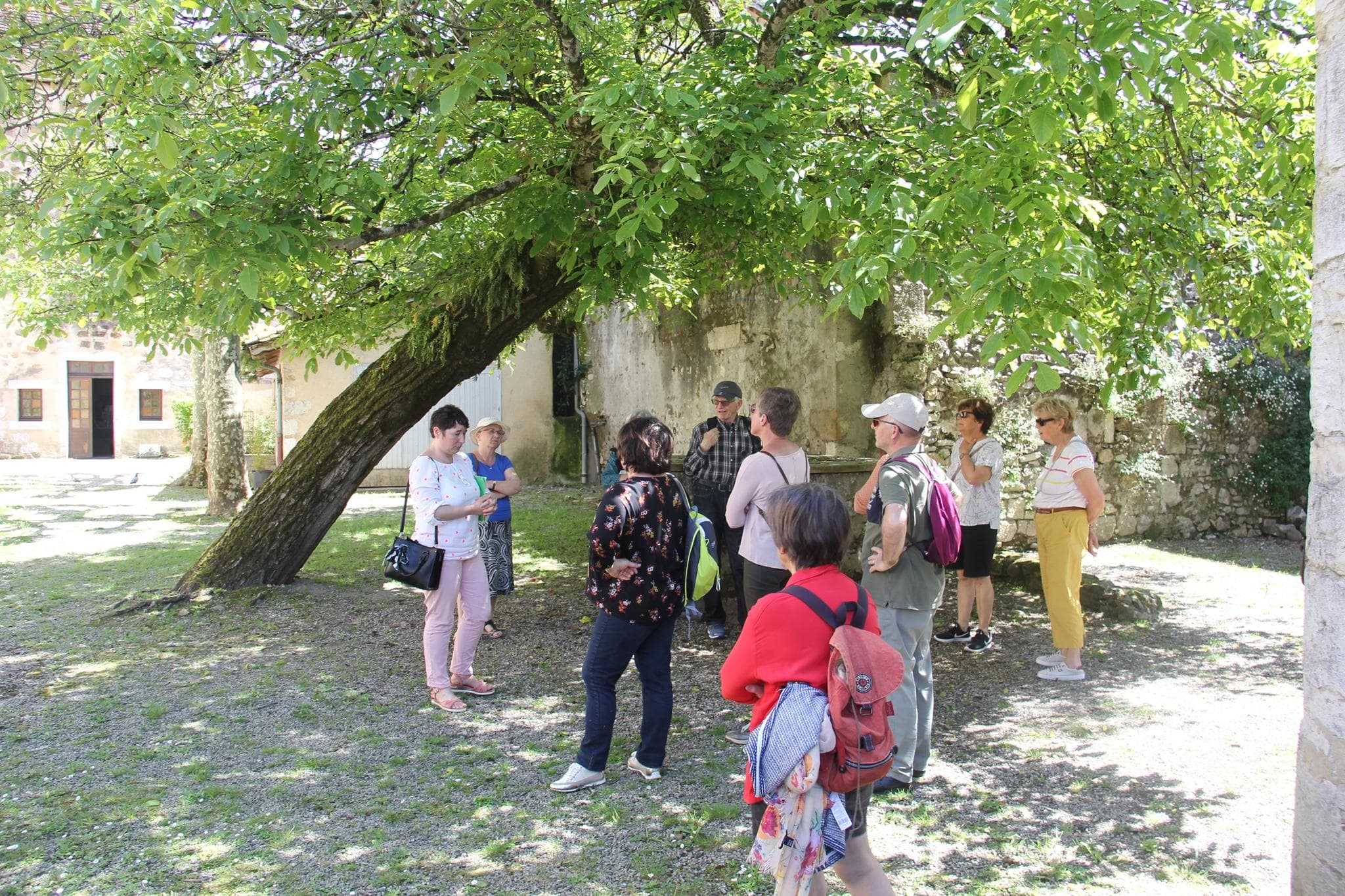 Visite-guidee-orthez-musee-jeanne-dalbret