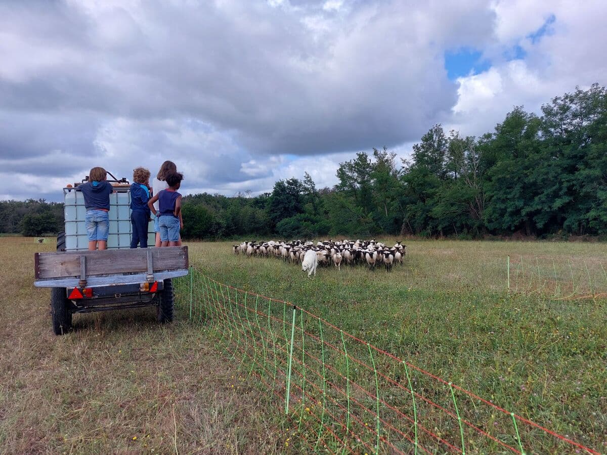 Visites avec enfants ferme cinsi