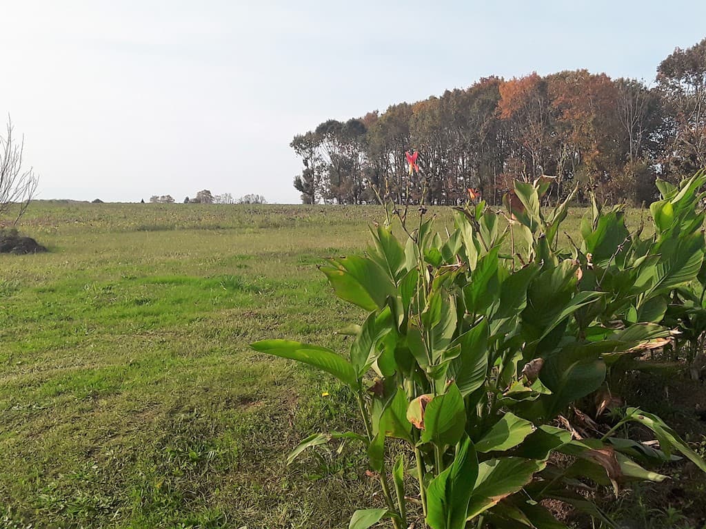 Vitte - vue jardin arrière