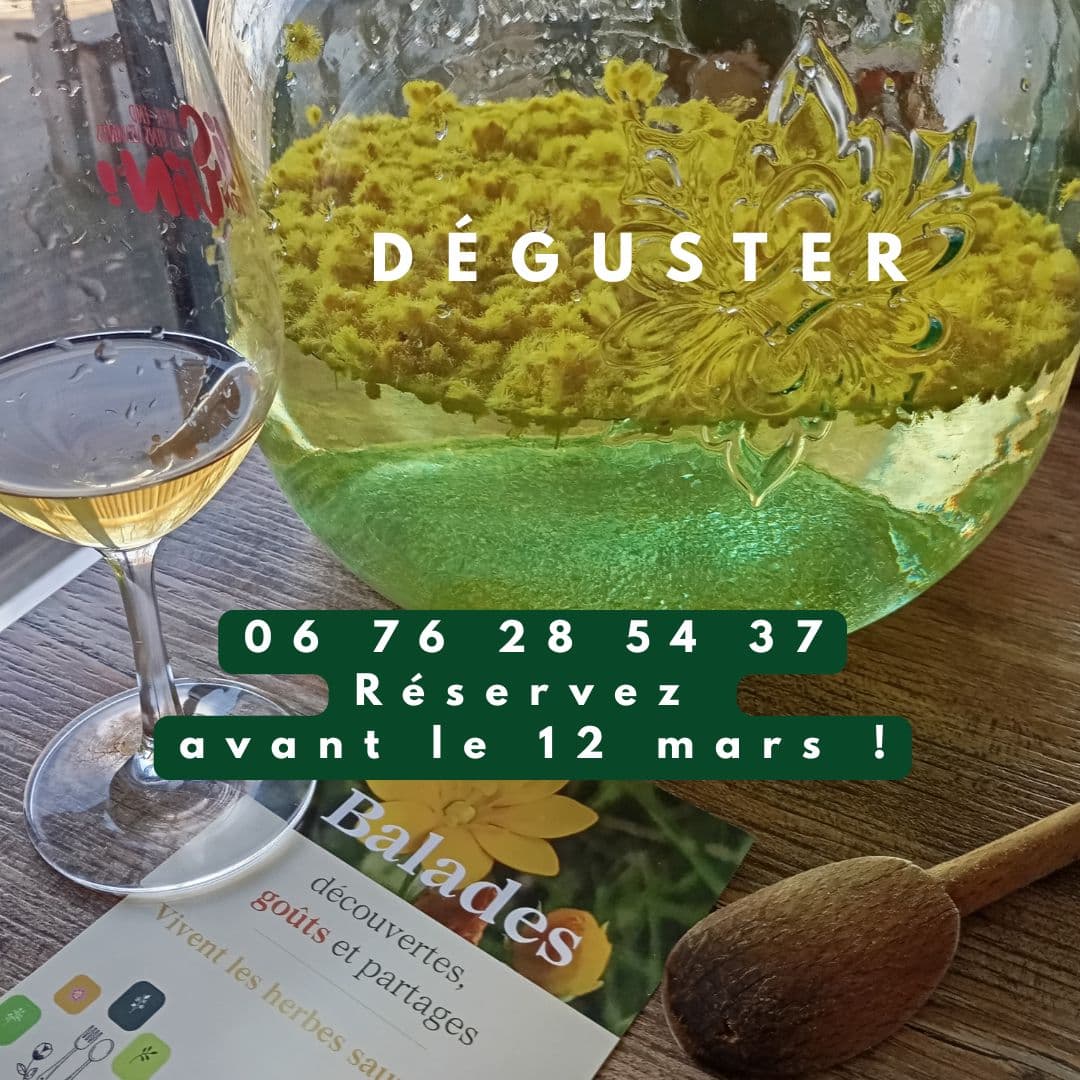 Vivent les herbes sauvages5 mars 2026