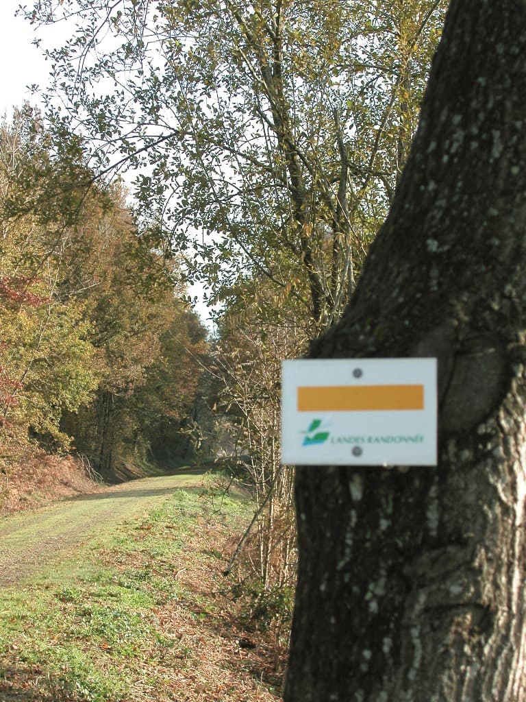 Chemins de randonnées