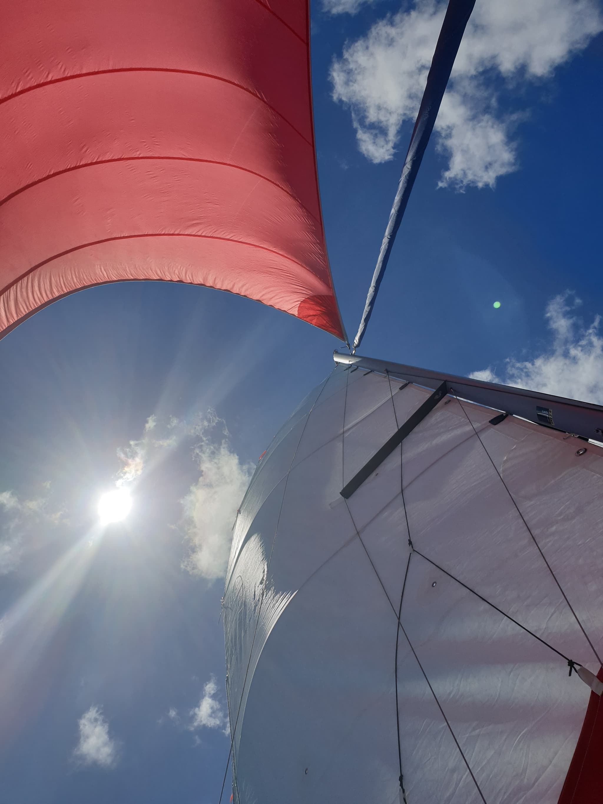 Voile_liberté (06)
